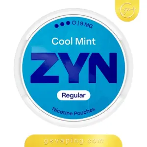 أكياس نيكوتين زين كول منت 9 ملغ - ZYN Cool Mint 9mg Nicotine Pouches علبة أكياس نيكوتين زين كول منت بتركيز 9 ملغ بنكهة النعناع البارد من متجر GSVAPING الكويت
